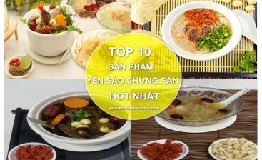 TOP 10 sản phẩm Yến Sào Chưng Sẵn HOT nhất 9/2023