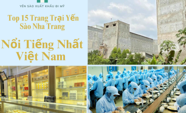 Top yến sào Nha Trang nổi tiếng nhất Việt Nam